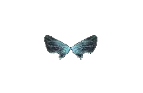 Wings of Elf Mu Online