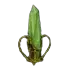 Elemental Rune
