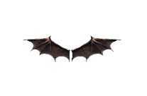 Wings of Satan Mu Online