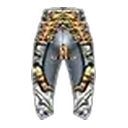 Guardian