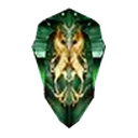 Bronze Shield