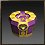Purple Chaos Box
