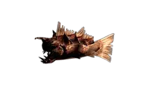 Bahamut