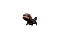Larva