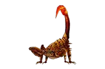 Venomous Chain Scorpion