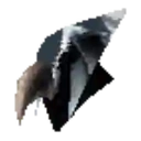 Dark Raven