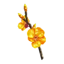 Golden Cherry Blossom Branch
